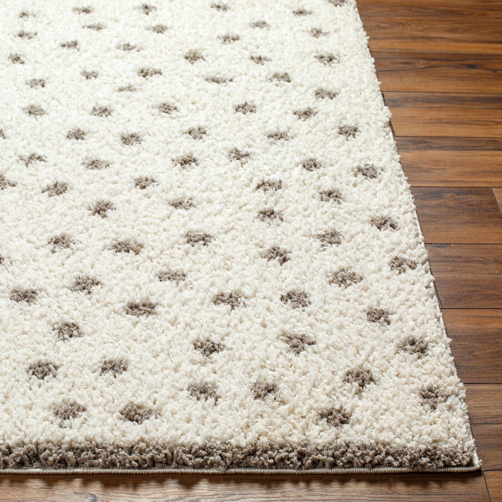 Hauteloom Chaia SBMMFIANAA1 Off White Machine Made Polyester Rug