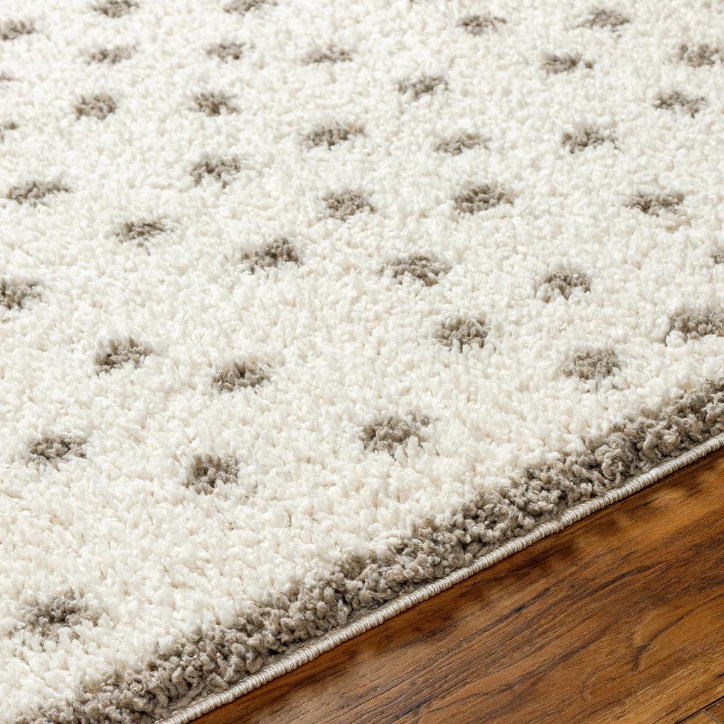 Hauteloom Chaia SBMMFIANAA1 Off White Machine Made Polyester Rug