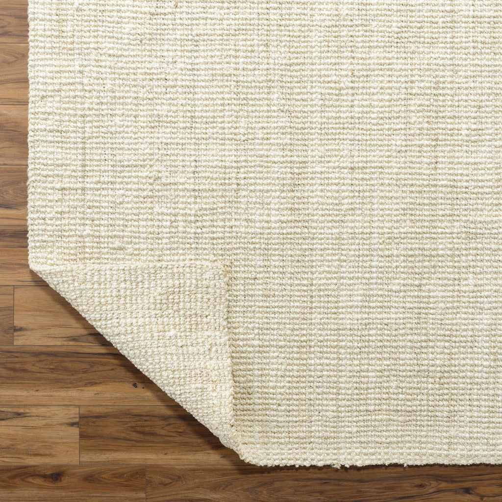 Hauteloom Ilana SBOJILANAA2 Beige Woven/Flatwoven Jute Rug