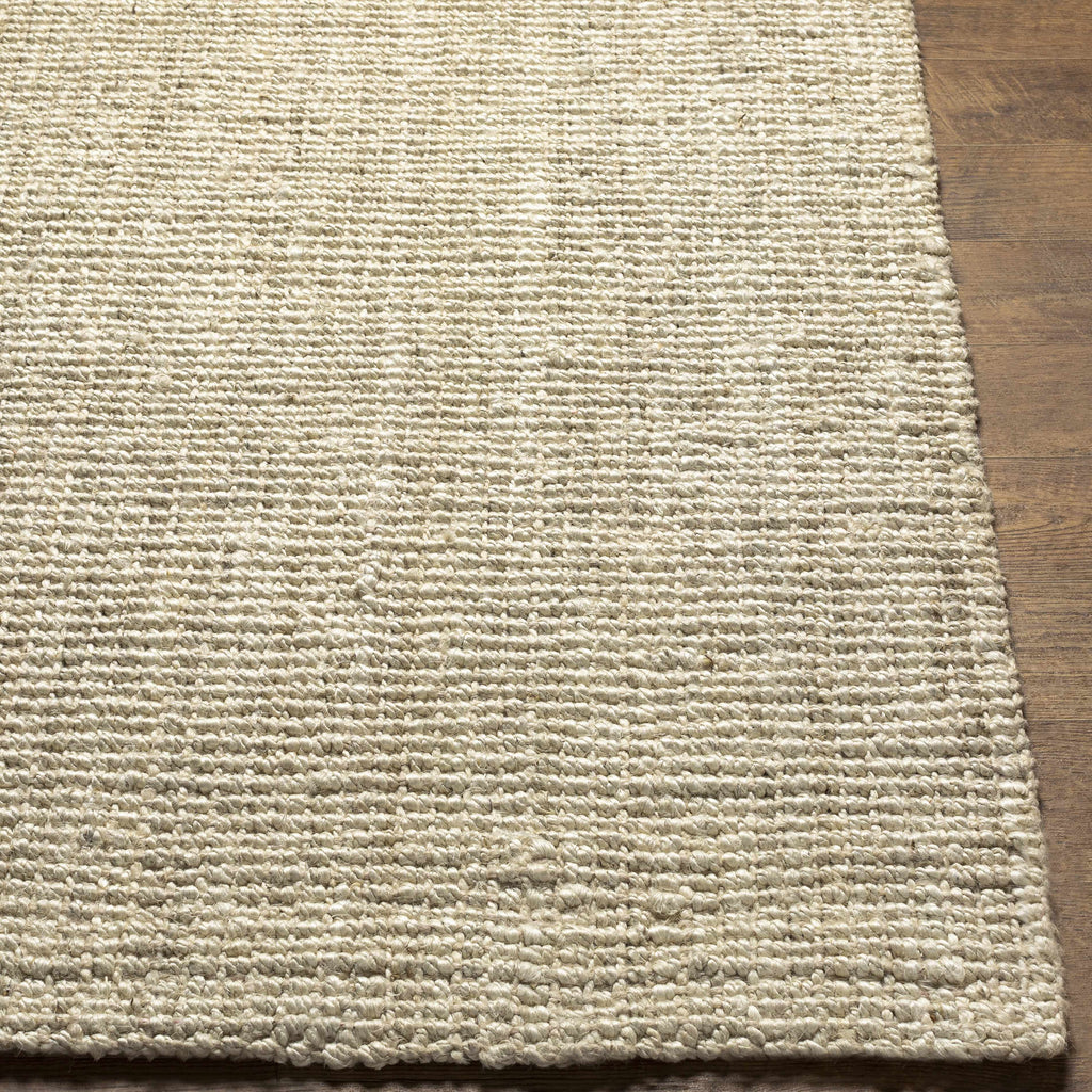 Hauteloom Ilana SBOJILANAA2 Beige Woven/Flatwoven Jute Rug