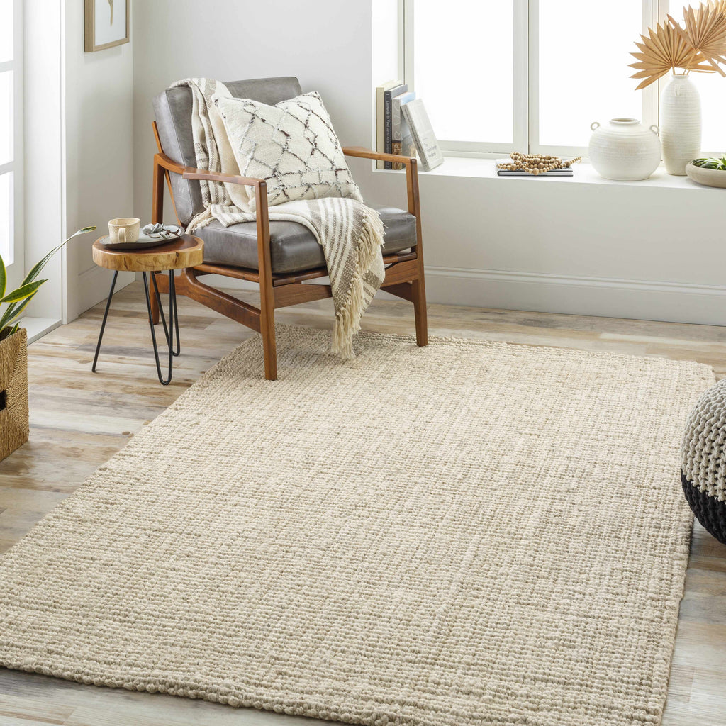 Hauteloom Ilana SBOJILANAA2 Beige Woven/Flatwoven Jute Rug