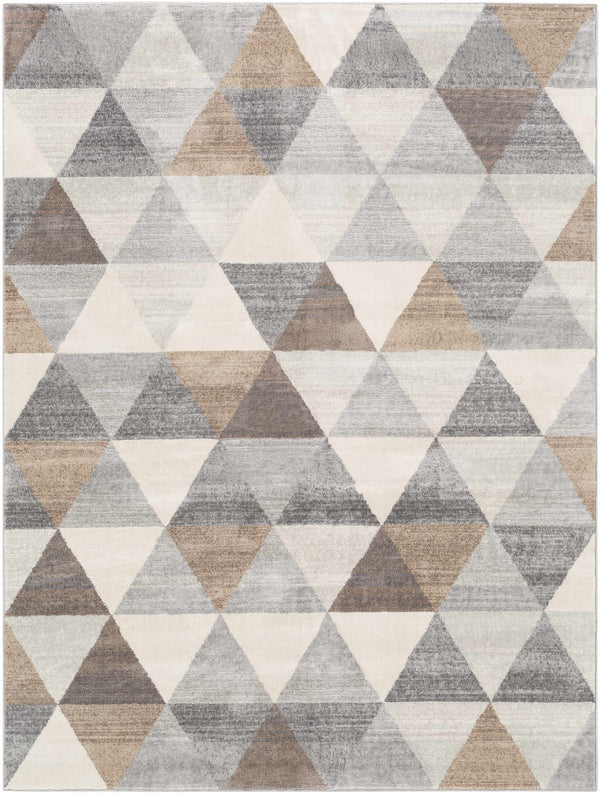 Hauteloom Sells SELLS Tan Machine Made Polypropylene Rug
