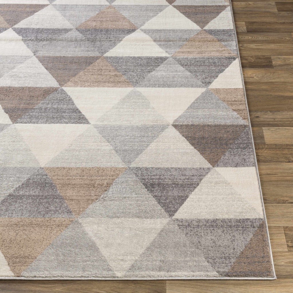 Hauteloom Sells SELLS Tan Machine Made Polypropylene Rug