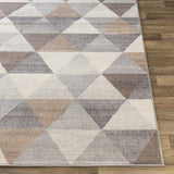 Hauteloom Sells SELLS Tan Machine Made Polypropylene Rug