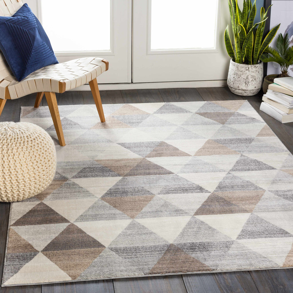 Hauteloom Sells SELLS Tan Machine Made Polypropylene Rug