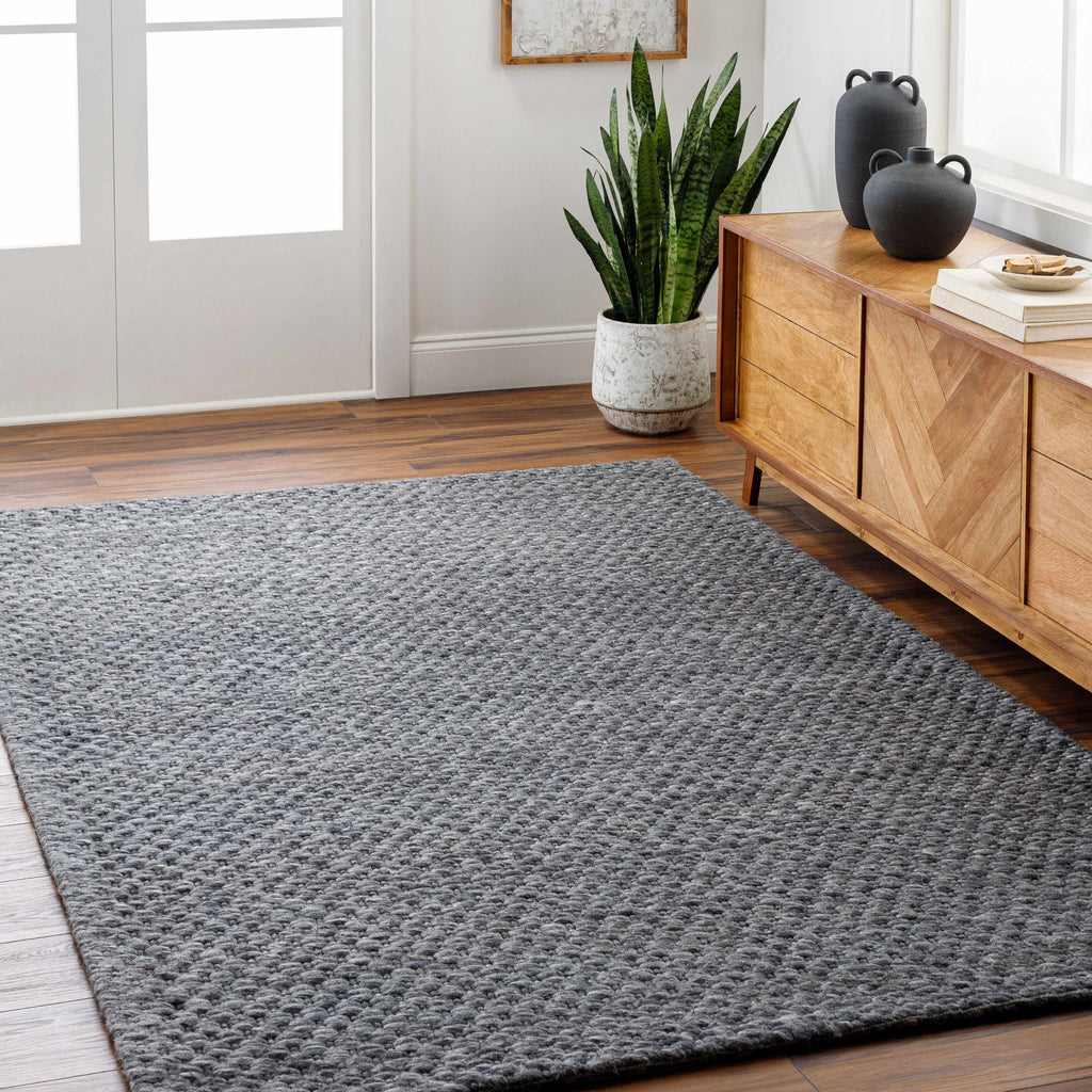 Hauteloom Kassa SEPDKASSAA1 Gray Woven/Flatwoven Wool Rug