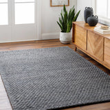 Hauteloom Kassa SEPDKASSAA1 Gray Woven/Flatwoven Wool Rug