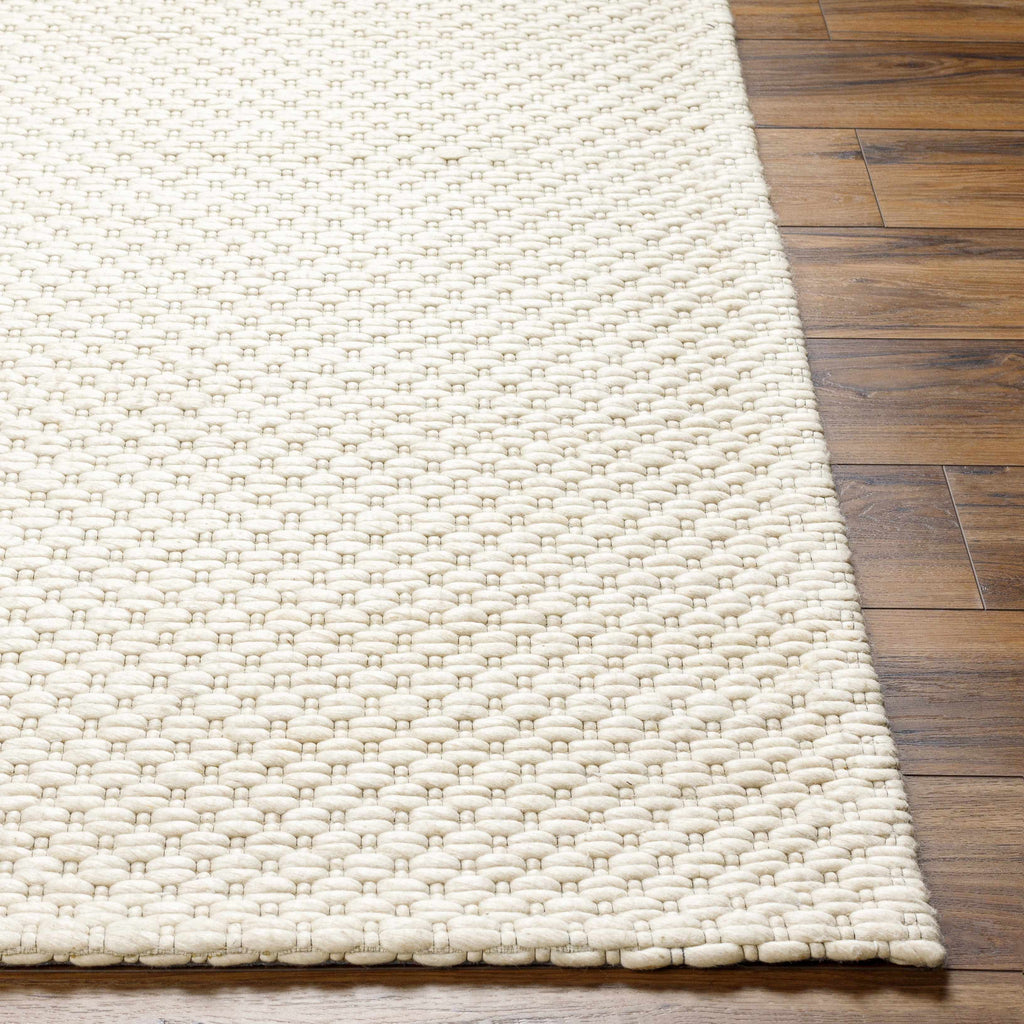 Hauteloom Kassa SEPDKASSAA2 Beige Woven/Flatwoven Wool Rug