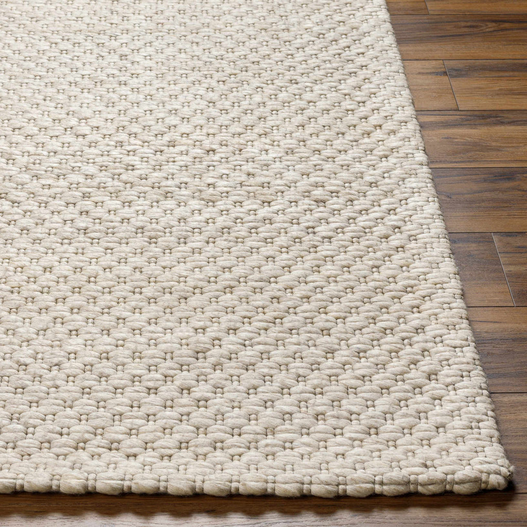Hauteloom Kassa SEPDKASSAA3 Beige Woven/Flatwoven Wool Rug