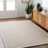 Hauteloom Kassa SEPDKASSAA3 Beige Woven/Flatwoven Wool Rug