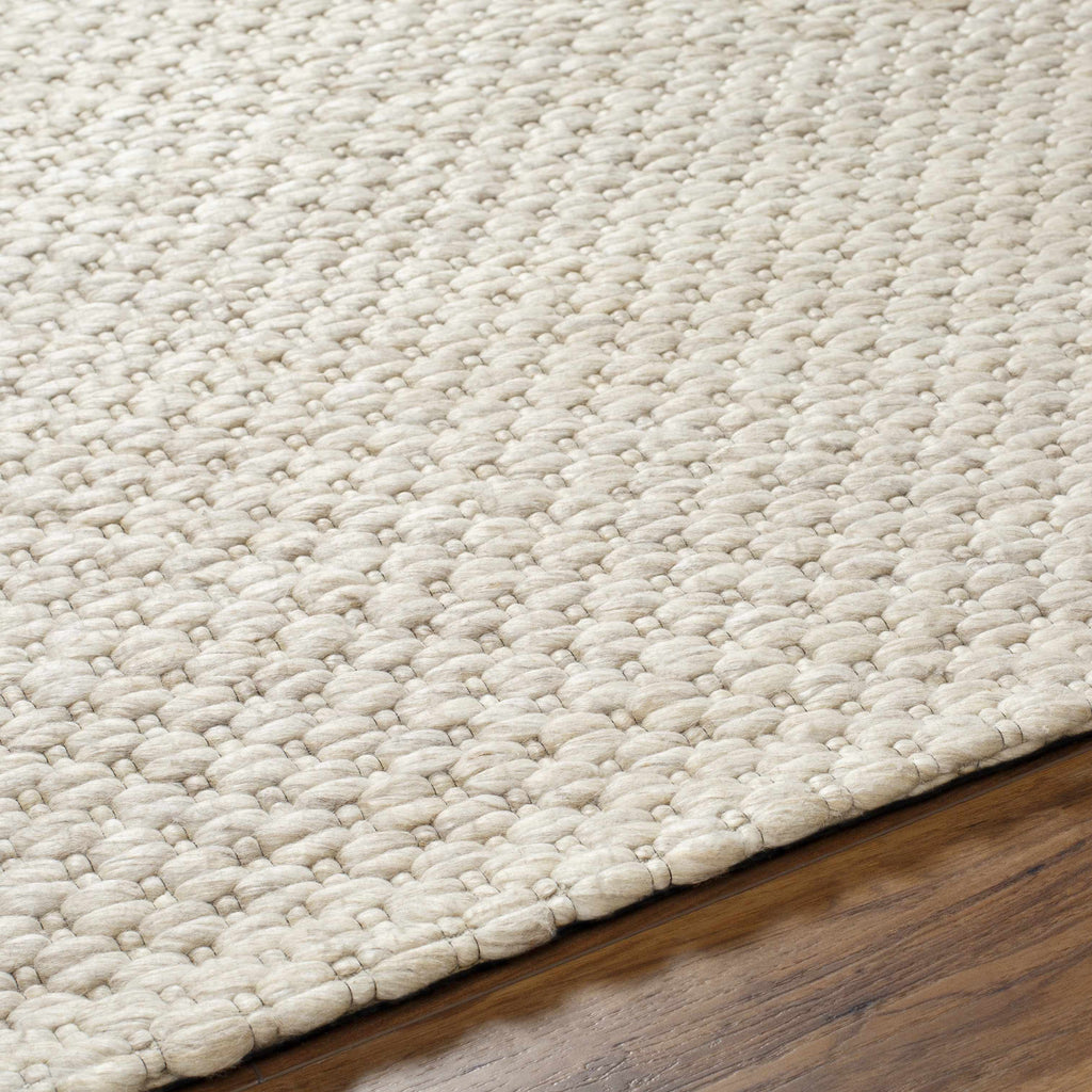Hauteloom Kassa SEPDKASSAA3 Beige Woven/Flatwoven Wool Rug