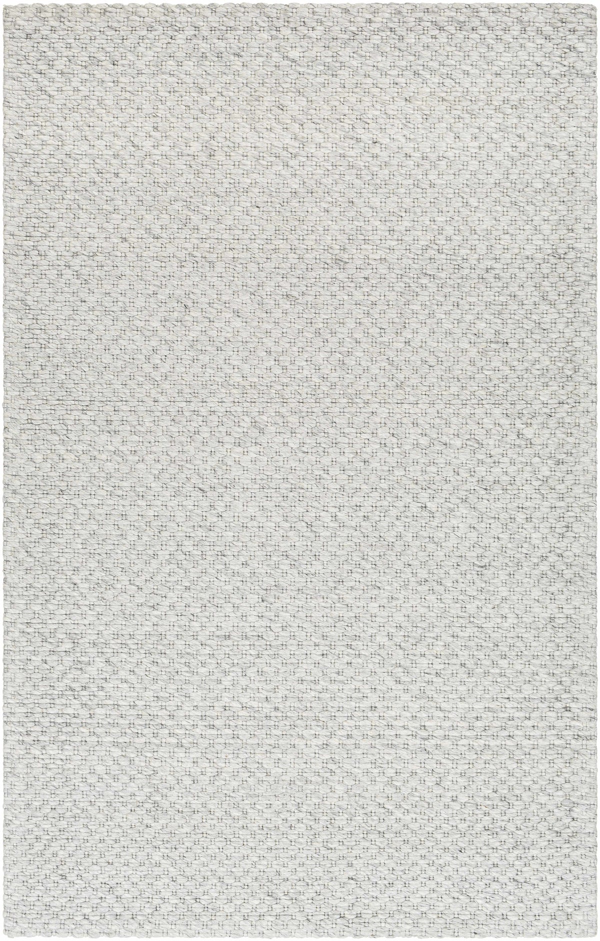 Hauteloom Kassa SEPDKASSAA4 Light Gray Woven/Flatwoven Wool Rug