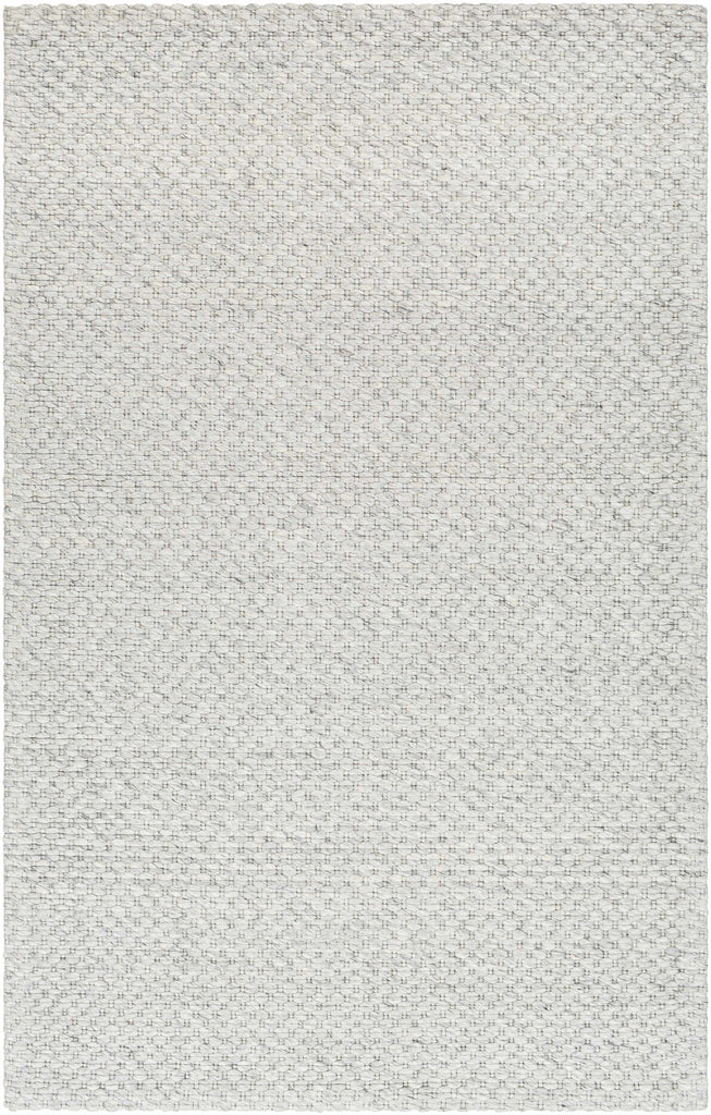 Hauteloom Kassa SEPDKASSAA4 Light Gray Woven/Flatwoven Wool Rug