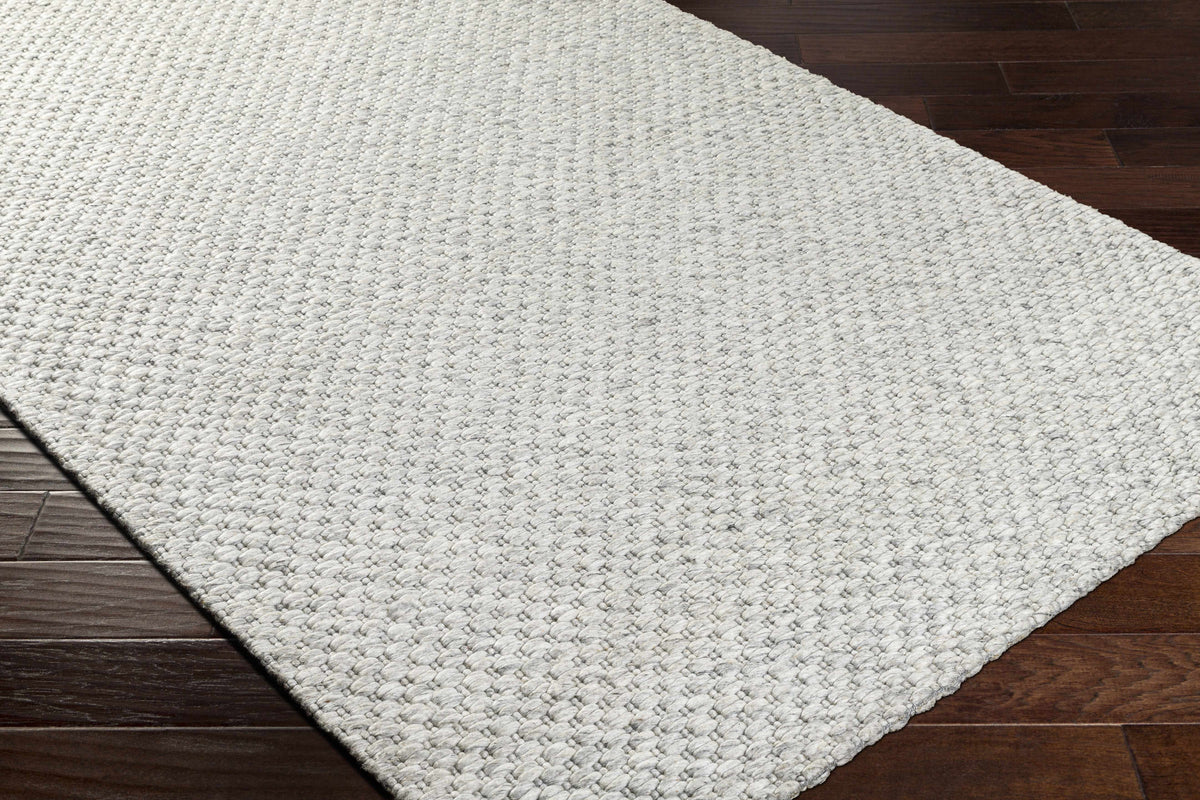 Hauteloom Kassa SEPDKASSAA4 Light Gray Woven/Flatwoven Wool Rug