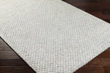 Hauteloom Kassa SEPDKASSAA4 Light Gray Woven/Flatwoven Wool Rug