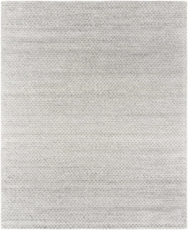Hauteloom Kassa SEPDKASSAA4 Light Gray Woven/Flatwoven Wool Rug
