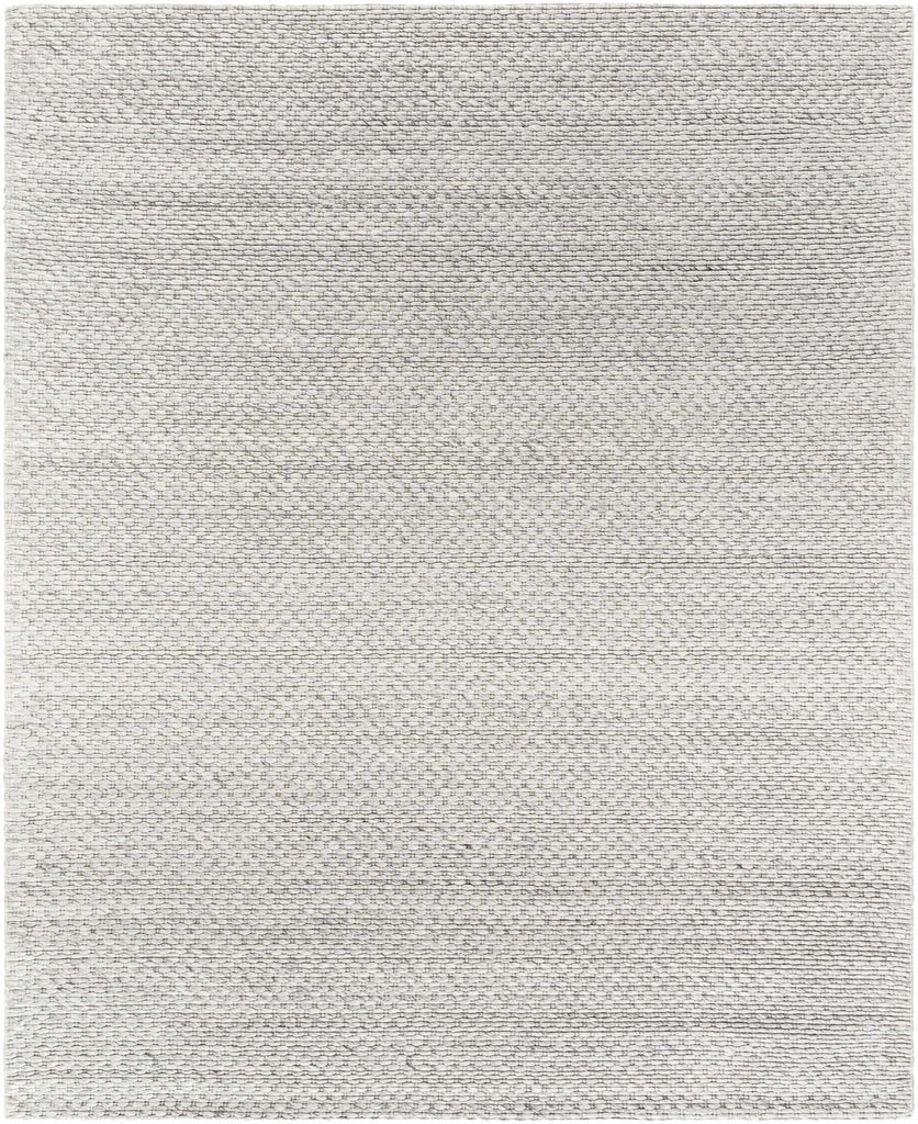Hauteloom Kassa SEPDKASSAA4 Light Gray Woven/Flatwoven Wool Rug