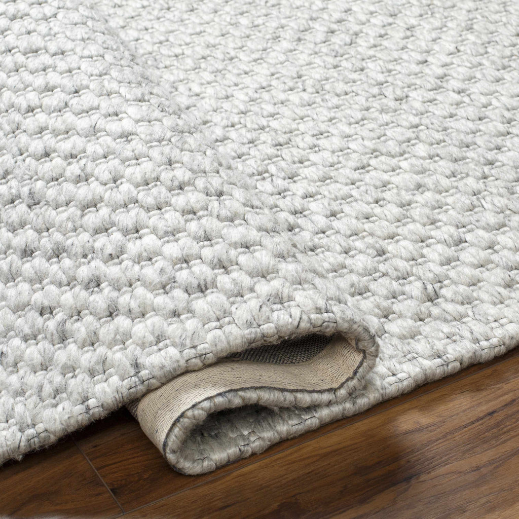 Hauteloom Kassa SEPDKASSAA4 Light Gray Woven/Flatwoven Wool Rug