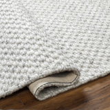 Hauteloom Kassa SEPDKASSAA4 Light Gray Woven/Flatwoven Wool Rug