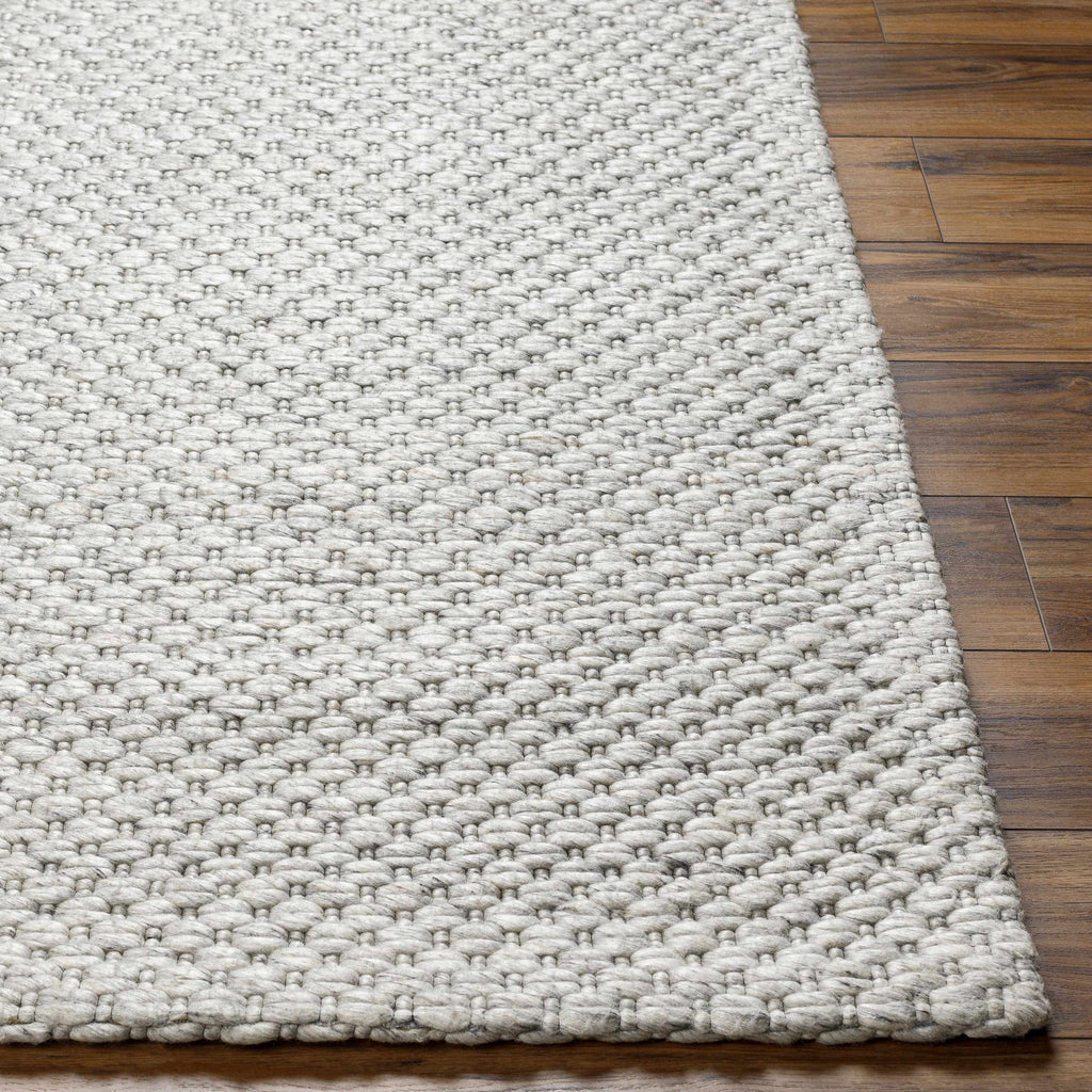 Hauteloom Kassa SEPDKASSAA4 Light Gray Woven/Flatwoven Wool Rug