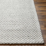 Hauteloom Kassa SEPDKASSAA4 Light Gray Woven/Flatwoven Wool Rug