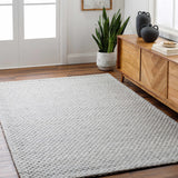 Hauteloom Kassa SEPDKASSAA4 Light Gray Woven/Flatwoven Wool Rug