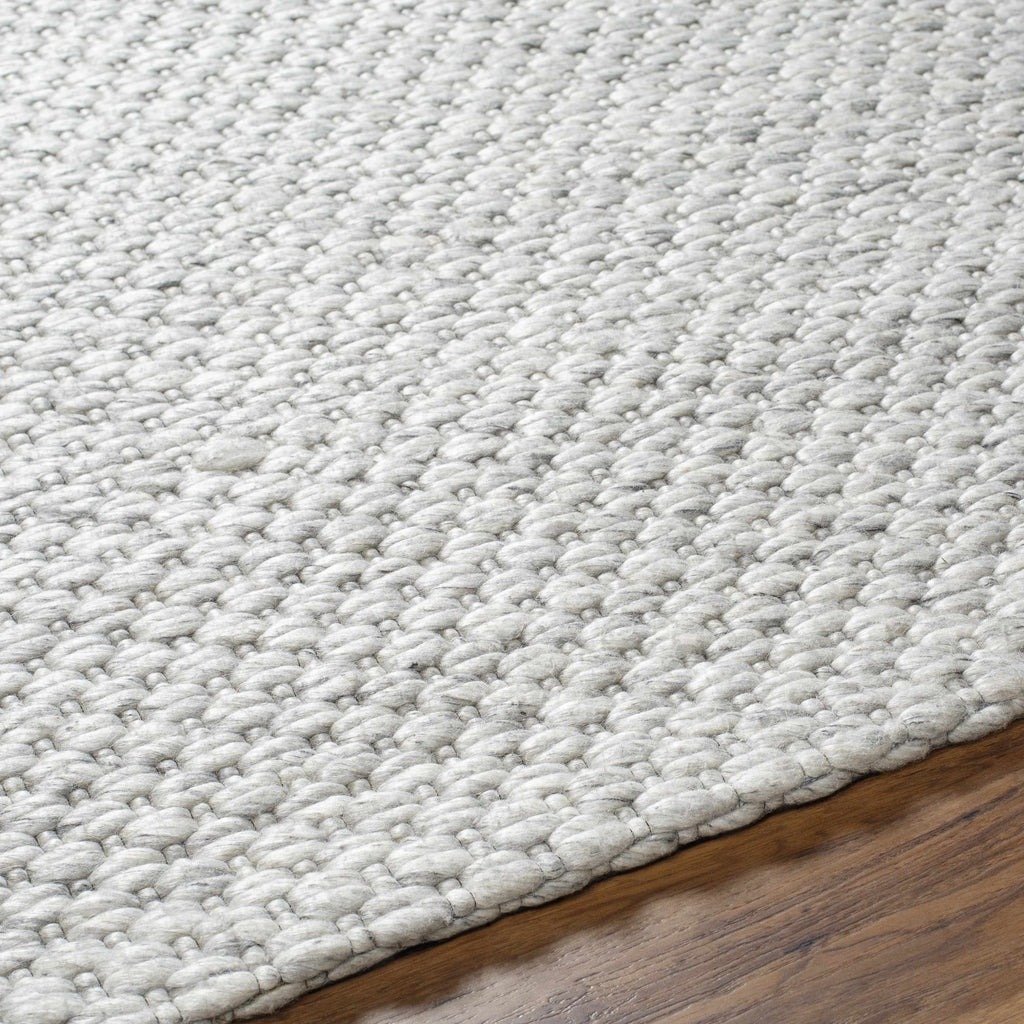 Hauteloom Kassa SEPDKASSAA4 Light Gray Woven/Flatwoven Wool Rug