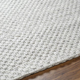 Hauteloom Kassa SEPDKASSAA4 Light Gray Woven/Flatwoven Wool Rug