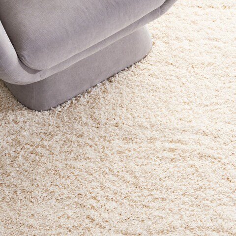 Safavieh Clearance Santa Monica Shag SGN725-1212 Ivory Rug