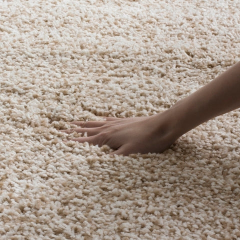 Safavieh Clearance Santa Monica Shag SGN725-1313 Beige Rug