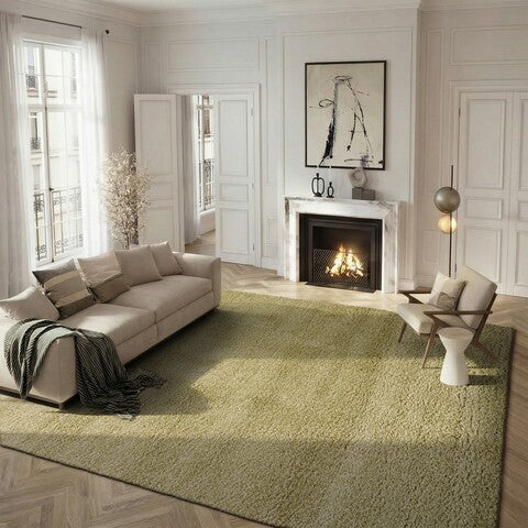 safavieh clearance santa monica shag sgn725 5252 green rug
