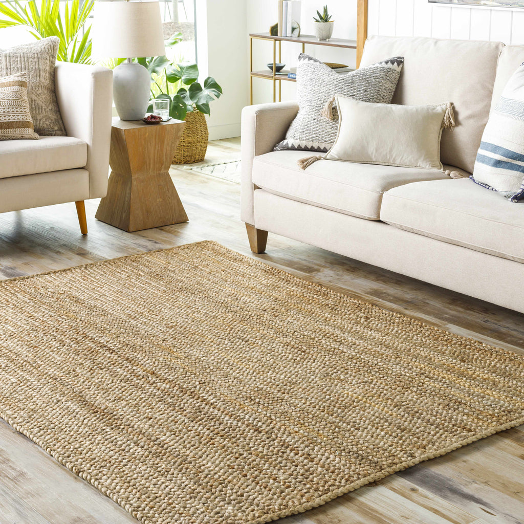 Hauteloom Shippagan SHPPG Tan Woven/Flatwoven Jute Rug
