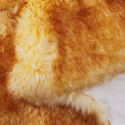 safavieh clearance sheep skin shs121k champagne rug