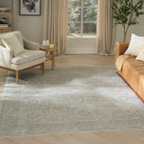 nourison envy evv02 grey rug