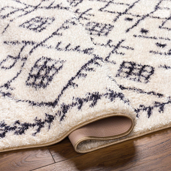 Hauteloom Elyes SLKAELYESA2 Beige Machine Made Polyester Rug