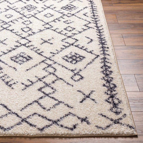 Hauteloom Elyes SLKAELYESA2 Beige Machine Made Polyester Rug