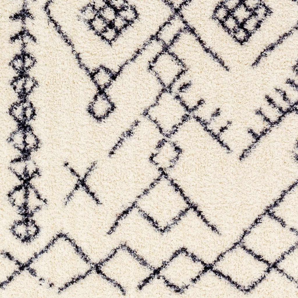 Hauteloom Elyes SLKAELYESA2 Beige Machine Made Polyester Rug