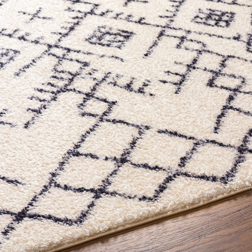 Hauteloom Elyes SLKAELYESA2 Beige Machine Made Polyester Rug