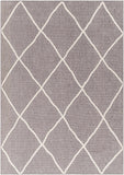 Hauteloom Amani SLYBAMANIA2 Gray Machine Made Polypropylene Rug