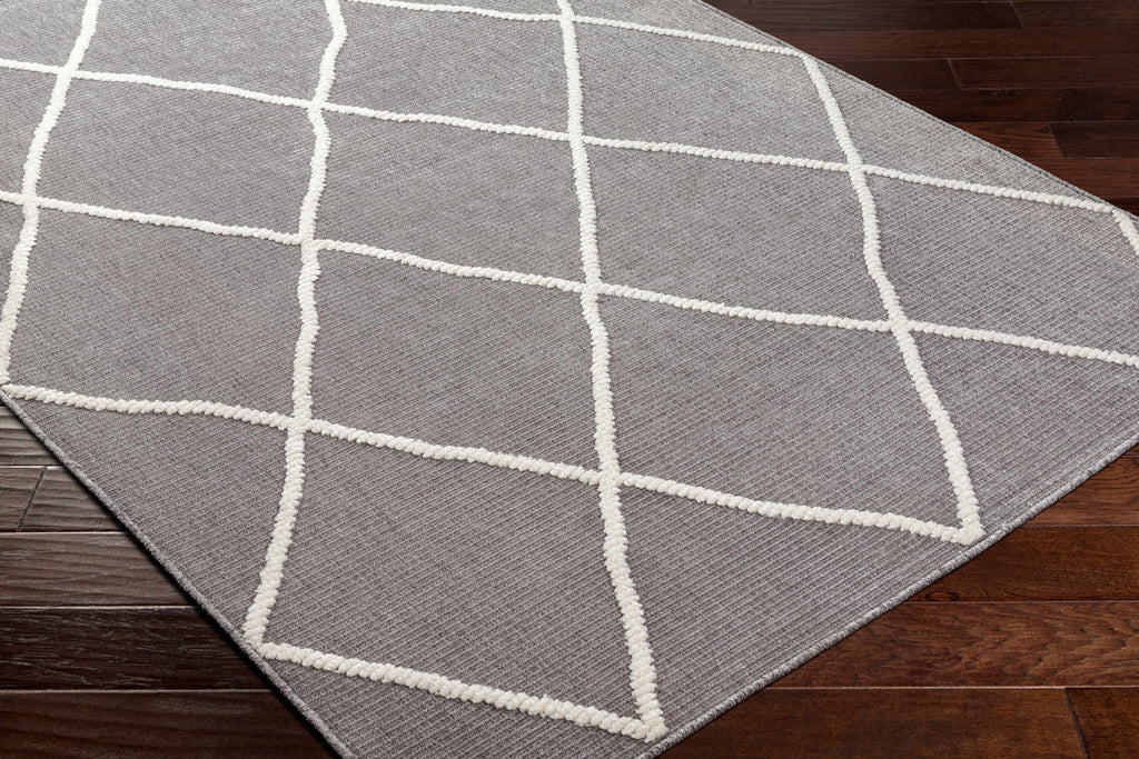 Hauteloom Amani SLYBAMANIA2 Gray Machine Made Polypropylene Rug