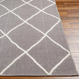 Hauteloom Amani SLYBAMANIA2 Gray Machine Made Polypropylene Rug