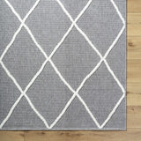 Hauteloom Amani SLYBAMANIA2 Gray Machine Made Polypropylene Rug