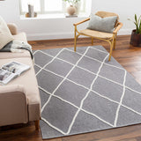 Hauteloom Amani SLYBAMANIA2 Gray Machine Made Polypropylene Rug