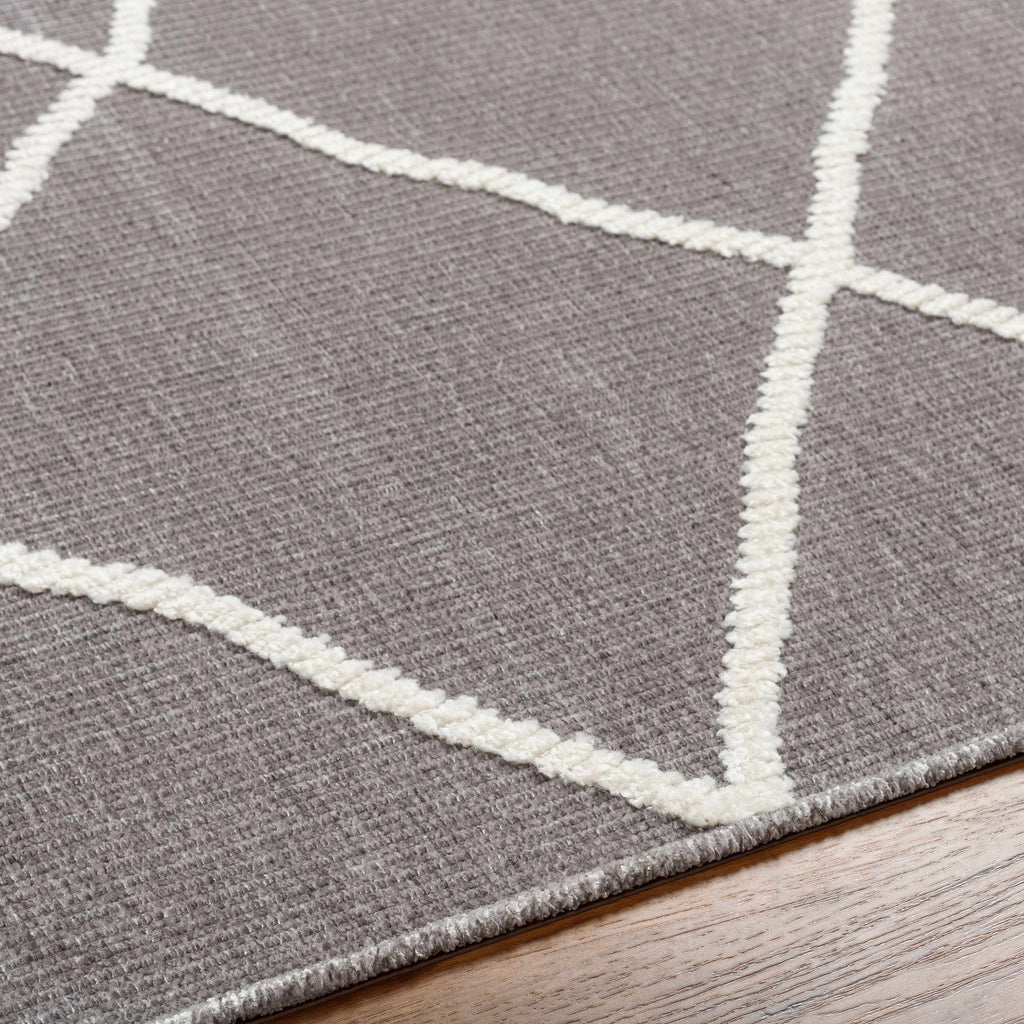 Hauteloom Amani SLYBAMANIA2 Gray Machine Made Polypropylene Rug