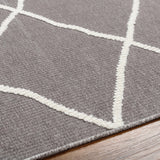 Hauteloom Amani SLYBAMANIA2 Gray Machine Made Polypropylene Rug