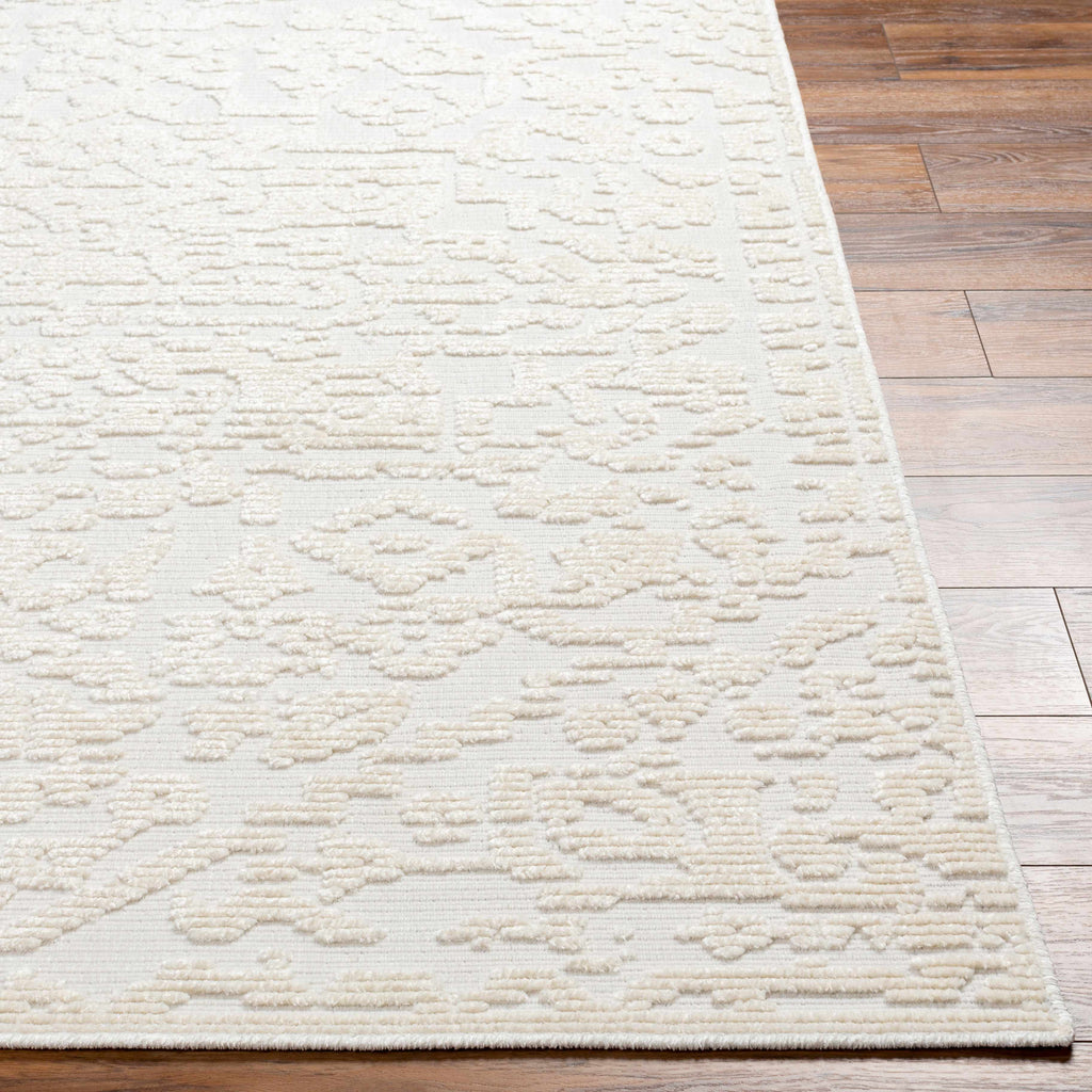 Hauteloom Beren SLYBBERENA1 White Machine Made Polypropylene Rug