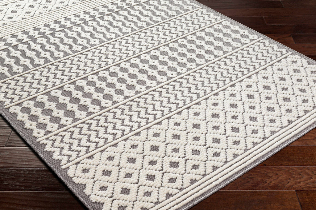 Hauteloom Drago SLYBDRAGOA3 Gray Machine Made Polypropylene Rug