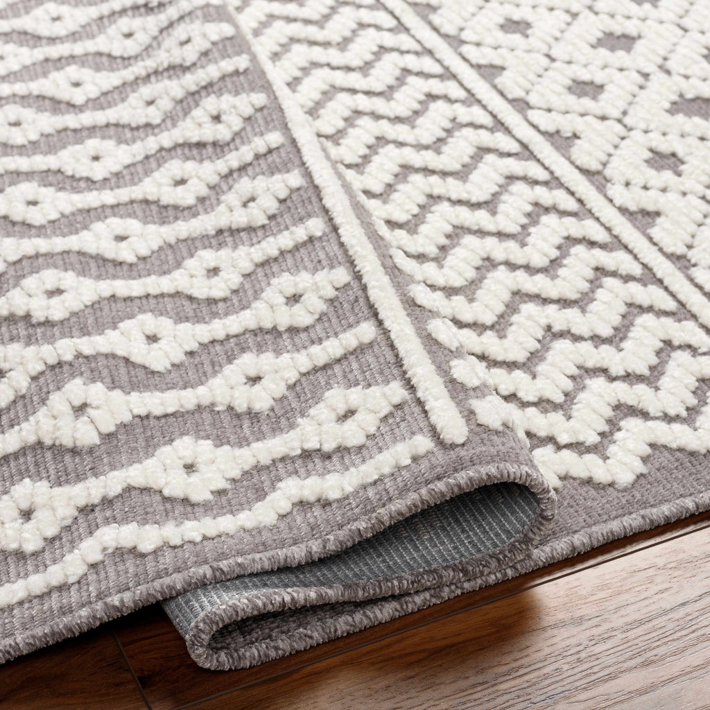 Hauteloom Drago SLYBDRAGOA3 Gray Machine Made Polypropylene Rug