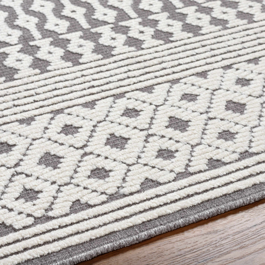 Hauteloom Drago SLYBDRAGOA3 Gray Machine Made Polypropylene Rug