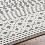 Hauteloom Drago SLYBDRAGOA3 Gray Machine Made Polypropylene Rug
